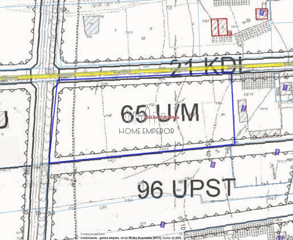 Działka budowlana na sprzedaż Wólka Kosowska, Kokosowa  11 000m2 Foto 1
