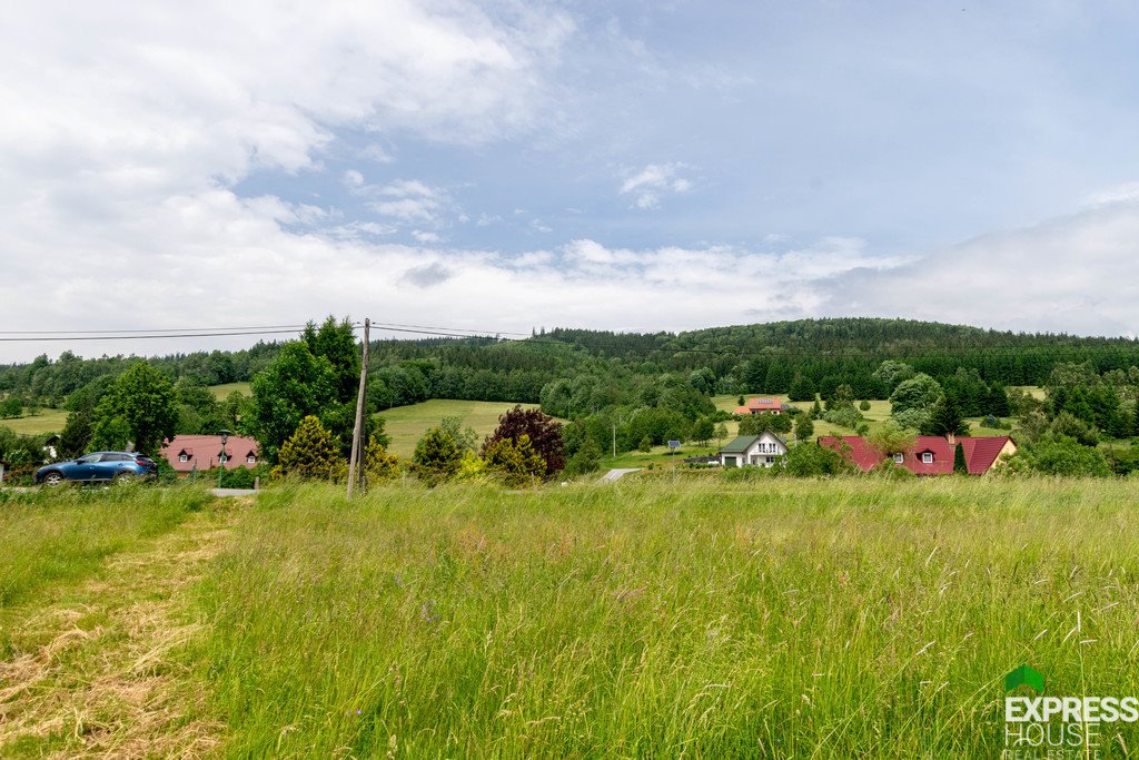 Działka budowlana na sprzedaż Stronie Śląskie  4 069m2 Foto 14