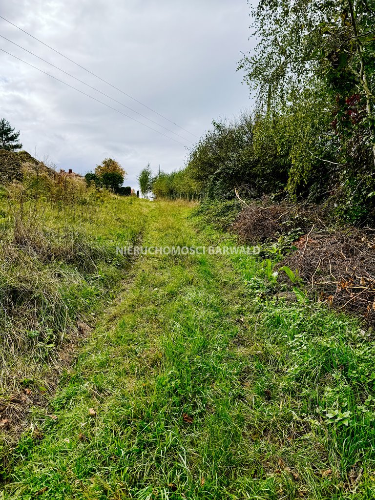 Działka siedliskowa na sprzedaż Lanckorona  7 821m2 Foto 6