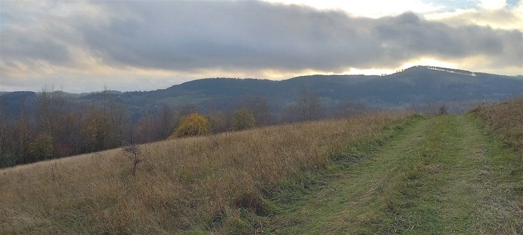 Działka inna na sprzedaż Walim  1 937m2 Foto 13