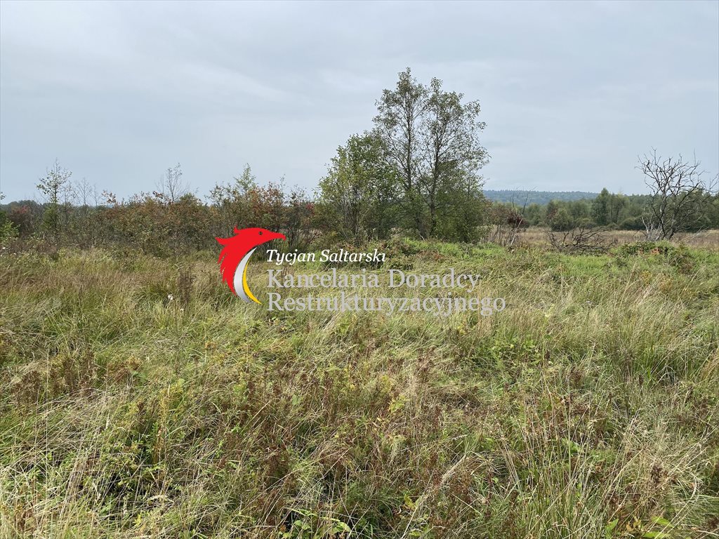 Działka rolna na sprzedaż Masłów Drugi  73 800m2 Foto 3