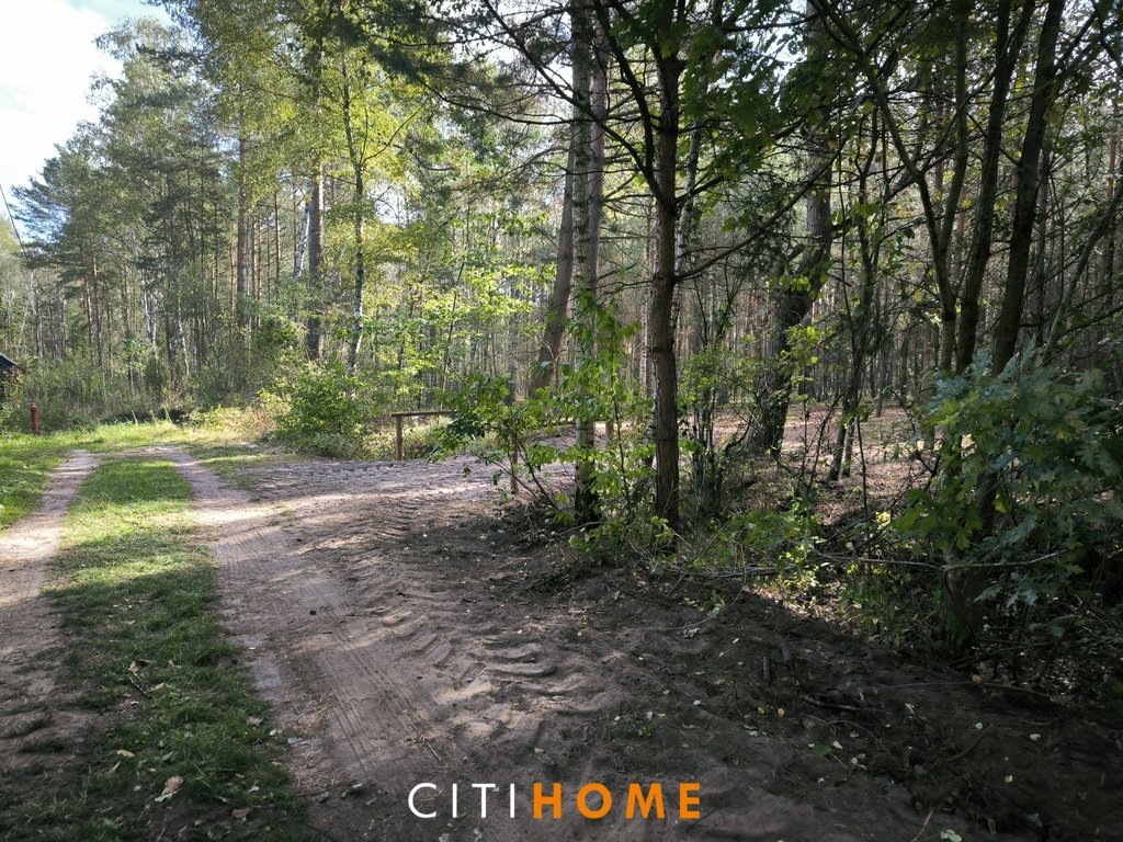 Działka leśna 1300 m² z mediami i planem zabudowy Malcanów, Żwirowa  1 300m2 Foto 1