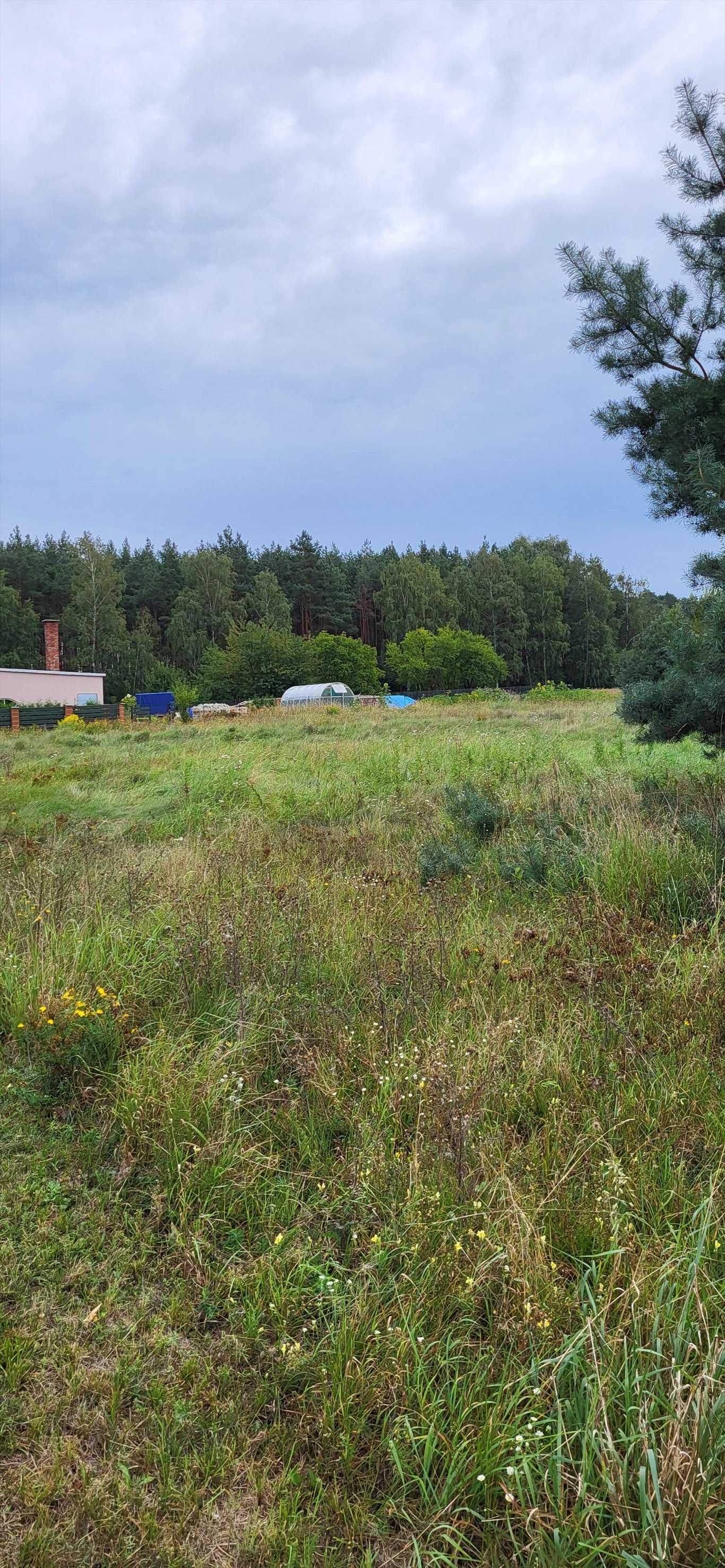 Działka budowlana na sprzedaż Wałdowo Szlacheckie  946m2 Foto 2