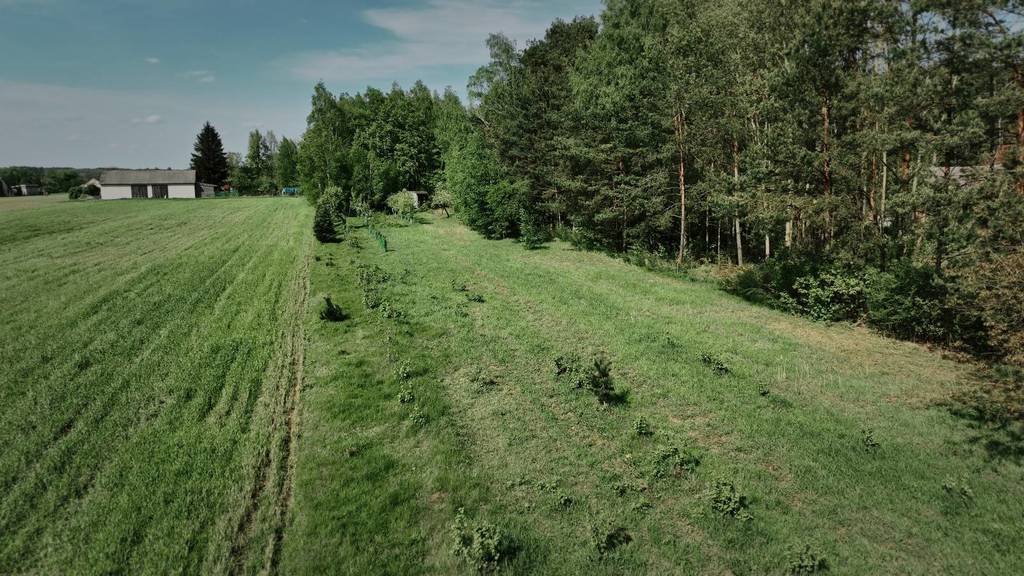 Działka budowlana na sprzedaż Mokra Wieś, Szymanówek  3 900m2 Foto 8