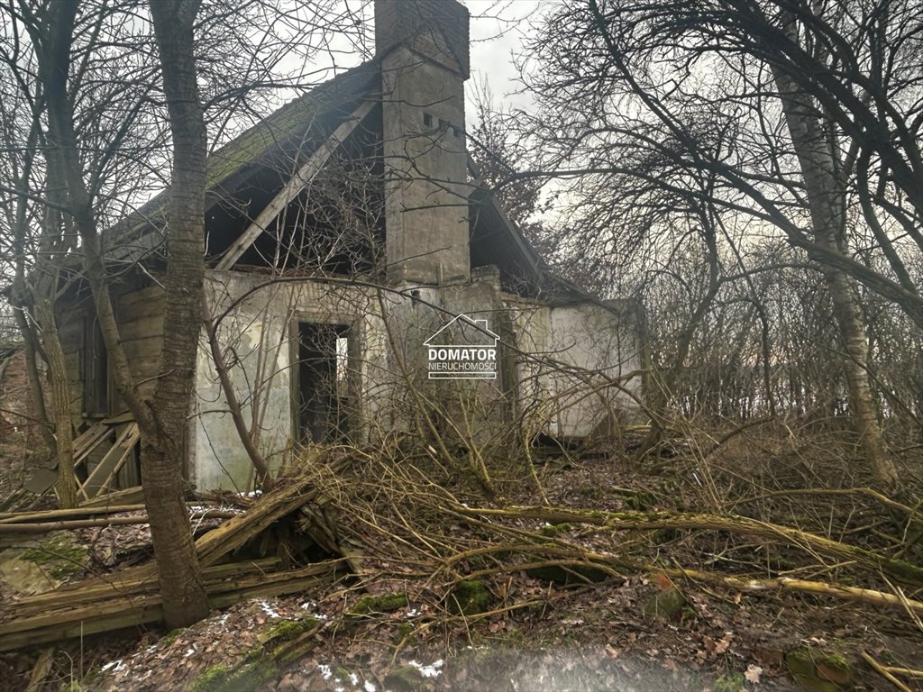 Działka rolna na sprzedaż Tryszczyn  4 287m2 Foto 3