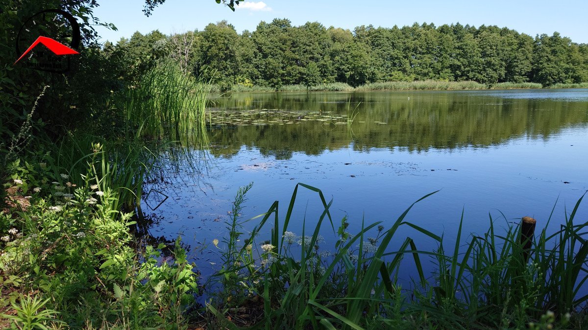 Działka budowlana na sprzedaż Kępa  1 054m2 Foto 2