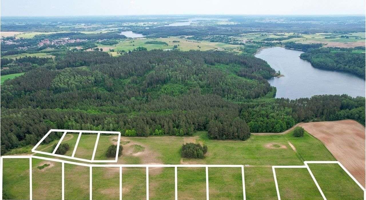 Działka rolna na sprzedaż Nowe Krzywe  3 011m2 Foto 11