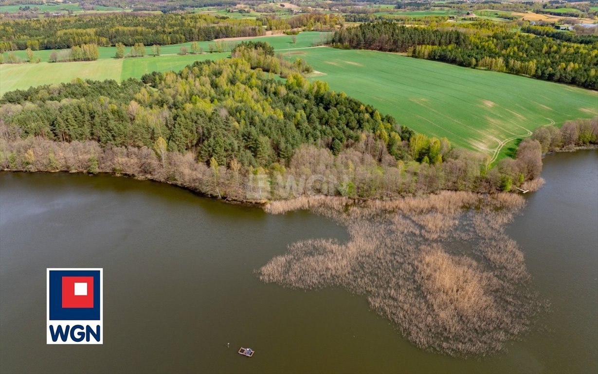 Działka inwestycyjna na sprzedaż Głodowo, Głodowo  25 300m2 Foto 9