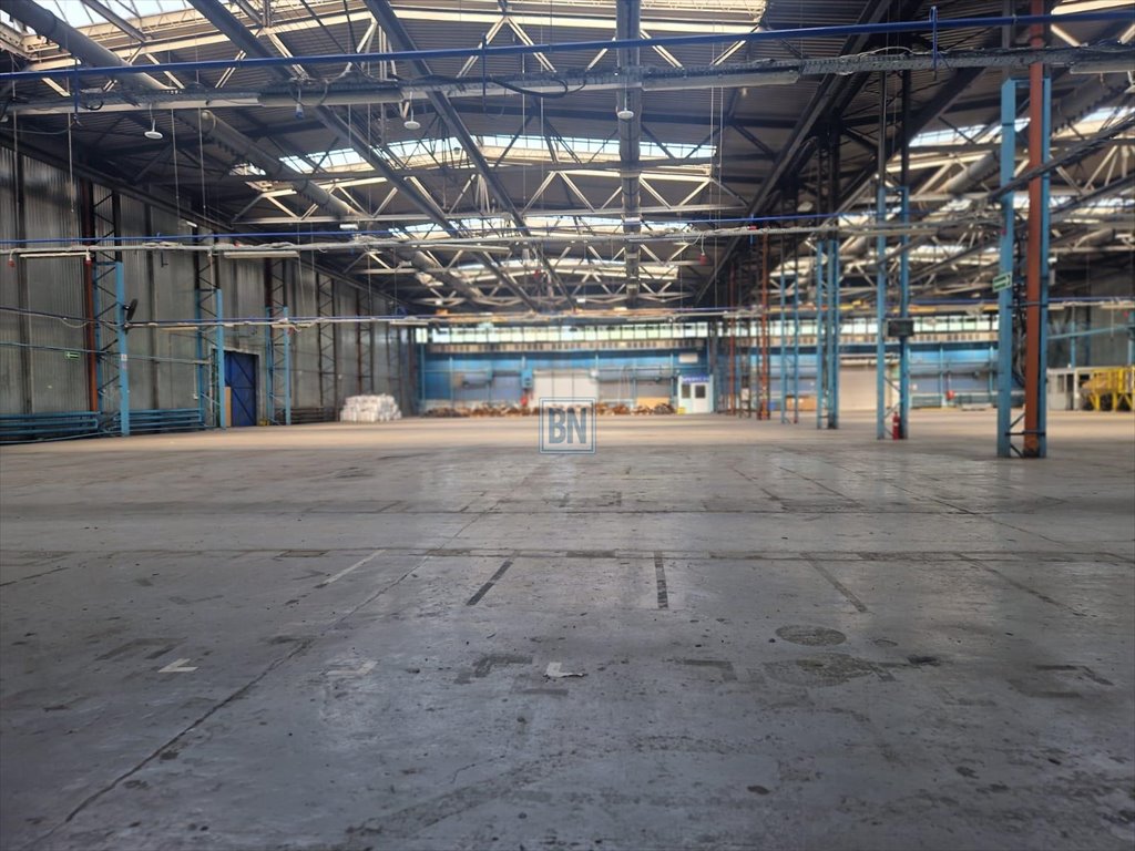 Hala 3000m² z poziomem "0" i dużym zapleczem technicznym Mikołów  3 000m2 Foto 1