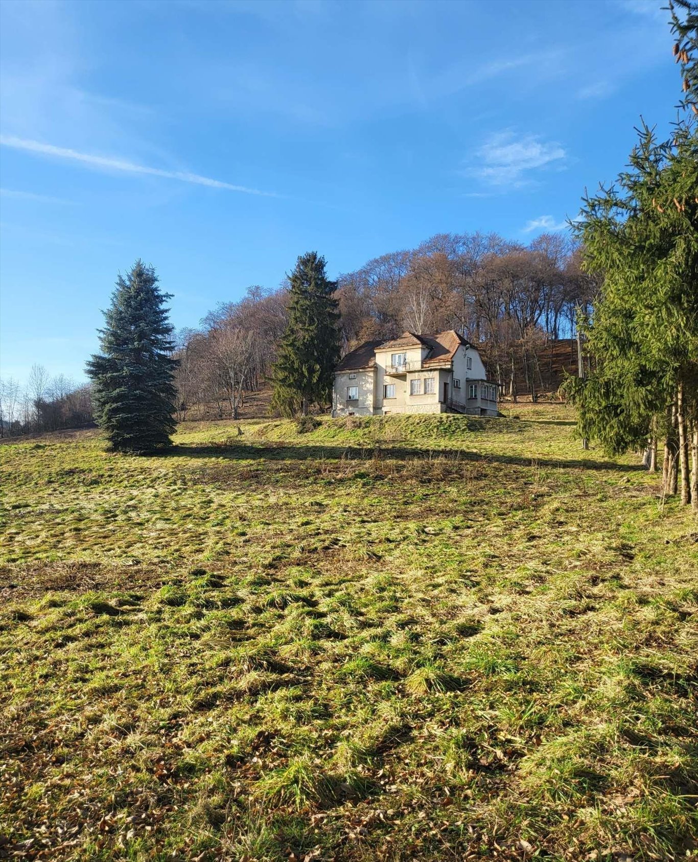 Działka budowlana na sprzedaż Jurków  21 000m2 Foto 3