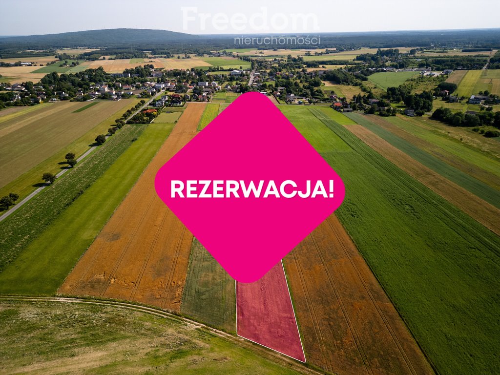 Działka budowlana na sprzedaż Dobryszyce, Polna  15 000m2 Foto 3