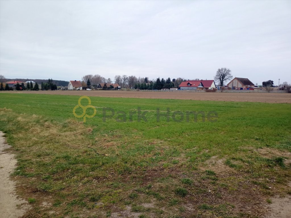 Działka budowlana na sprzedaż Wschowa  1 000m2 Foto 1