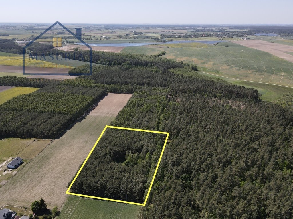 Na sprzedaż działka 7 900 m² w Radomnie - blisko natury Radomno  7 900m2 Foto 1