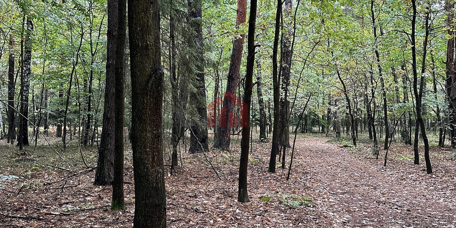 Działka leśna na sprzedaż Poręby Kupieńskie  13 700m2 Foto 2