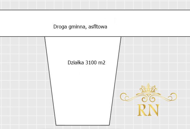 Działka rolna na sprzedaż Tereszyn  3 100m2 Foto 8