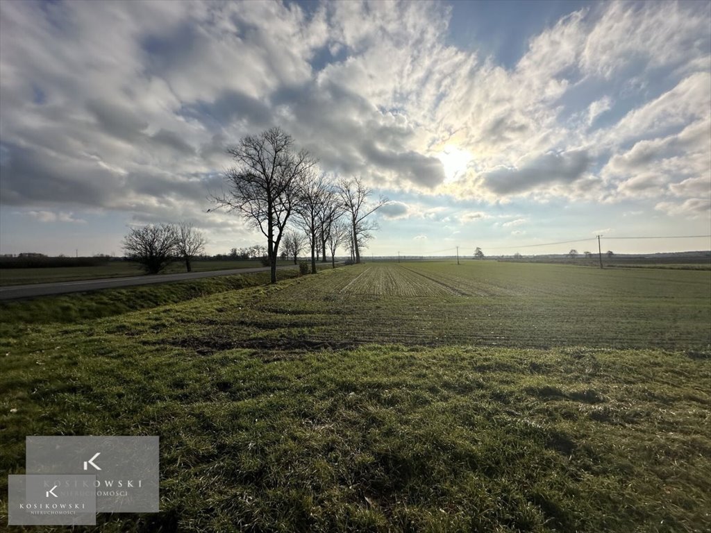 Działka inna na sprzedaż Namysłów, Świerczów  1 021m2 Foto 6