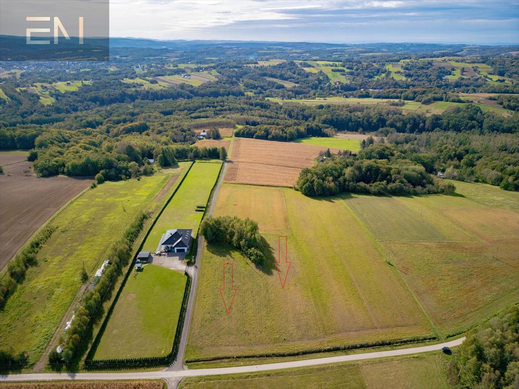 Działka budowlana na sprzedaż Harta  3 766m2 Foto 8