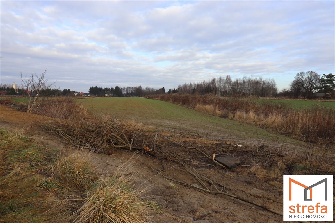 Działka budowlana na sprzedaż Majdan Krasieniński  1 100m2 Foto 3