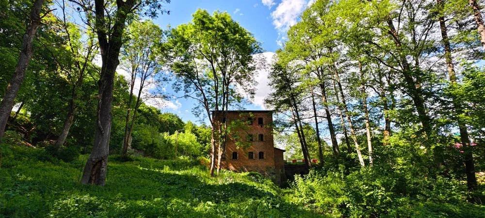 Historyczny młyn z 1911 r. nad rzeczką Samborką polecam: Brzeźnica-Kolonia