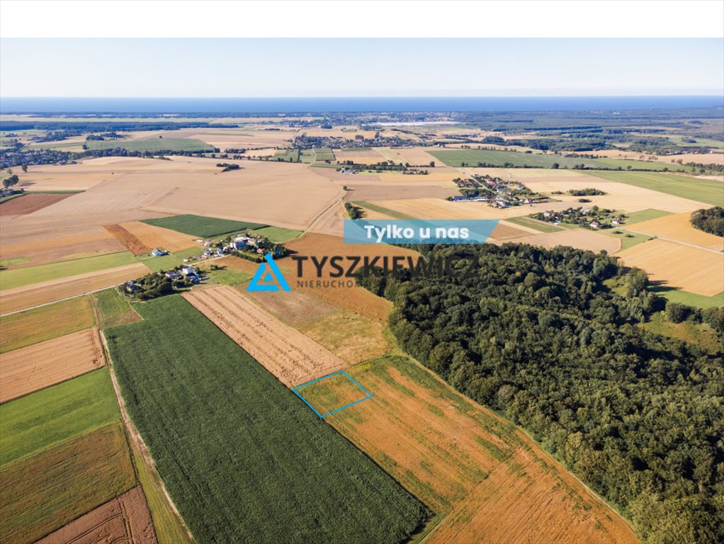 Działka rolna na sprzedaż Lisewo, Leśna  3 090m2 Foto 1