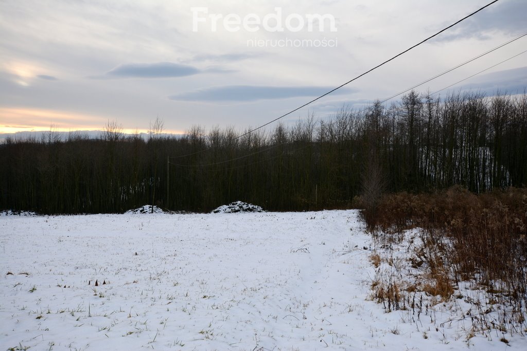 Działka budowlana na sprzedaż Wyźrał  3 004m2 Foto 1