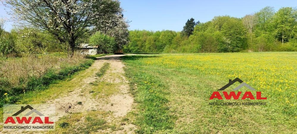 Działka budowlana na sprzedaż Zdrada, Leśna  1 020m2 Foto 8