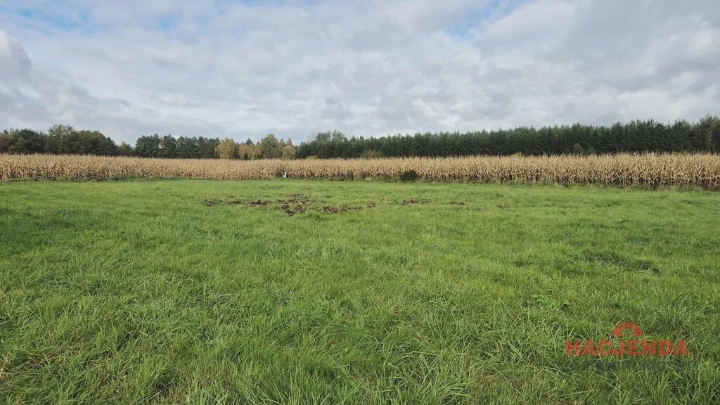 Działka rolna 3000 m² w Tatynii - inwestycyjna okazja. Tatynia  3 000m2 Foto 1