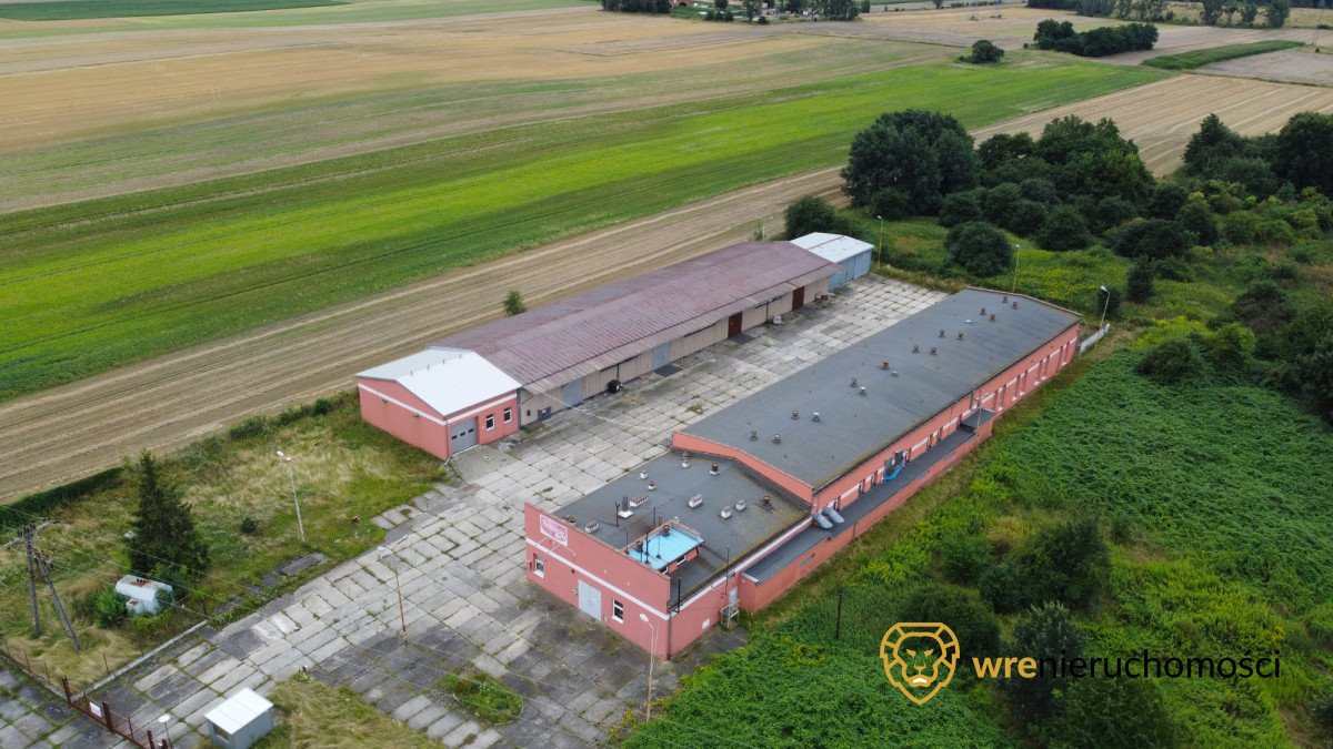 Lokal użytkowy na sprzedaż Brzeg  2 253m2 Foto 1