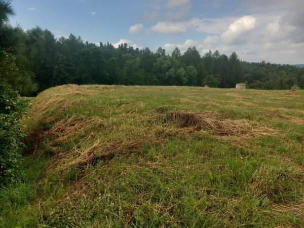 Działka budowlana na sprzedaż Nawojowa  1 050m2 Foto 5