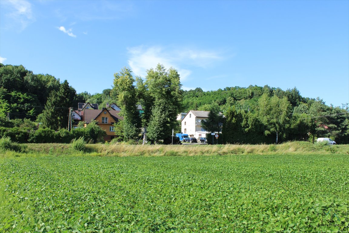 Działka budowlana na sprzedaż Winiary  1 100m2 Foto 3