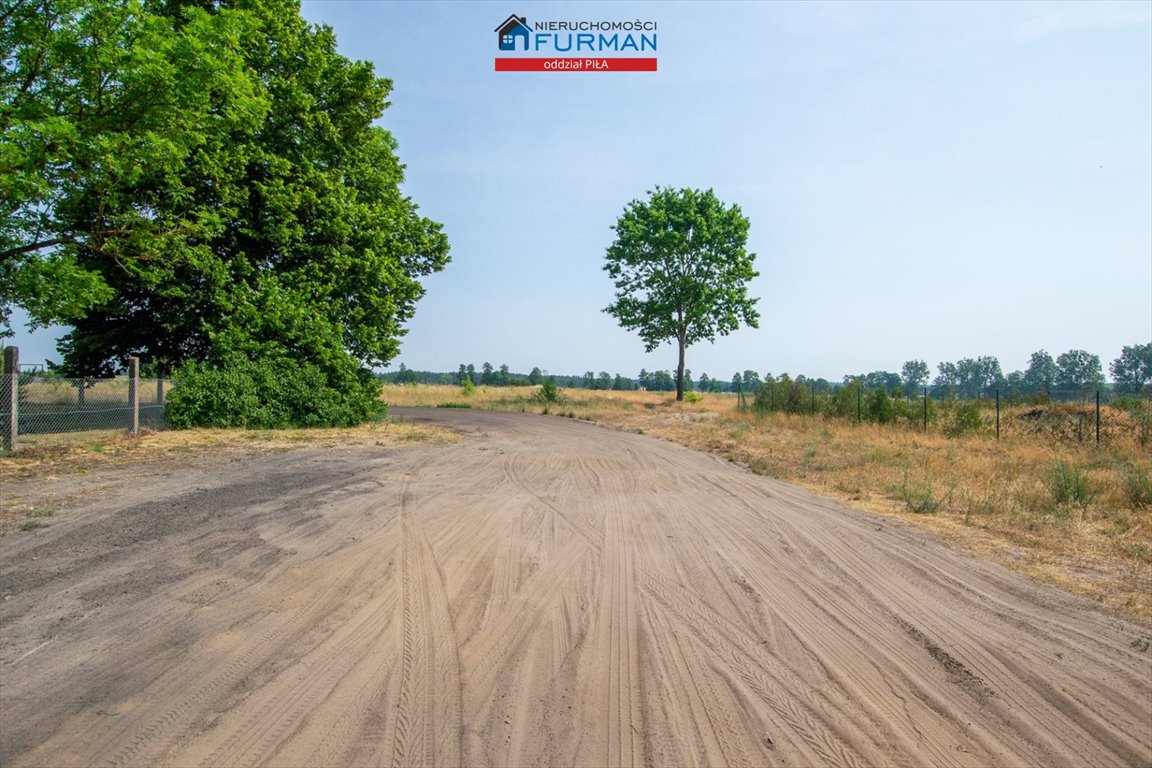 Działka inwestycyjna na sprzedaż Stobno  3 000m2 Foto 11