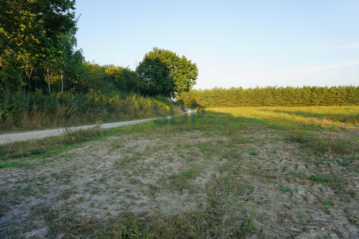 Działka inwestycyjna na sprzedaż Ramiszów  15 000m2 Foto 4