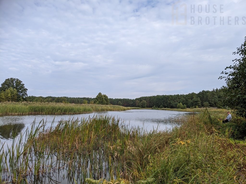 Działka rolna na sprzedaż Chełsty  3 000m2 Foto 9