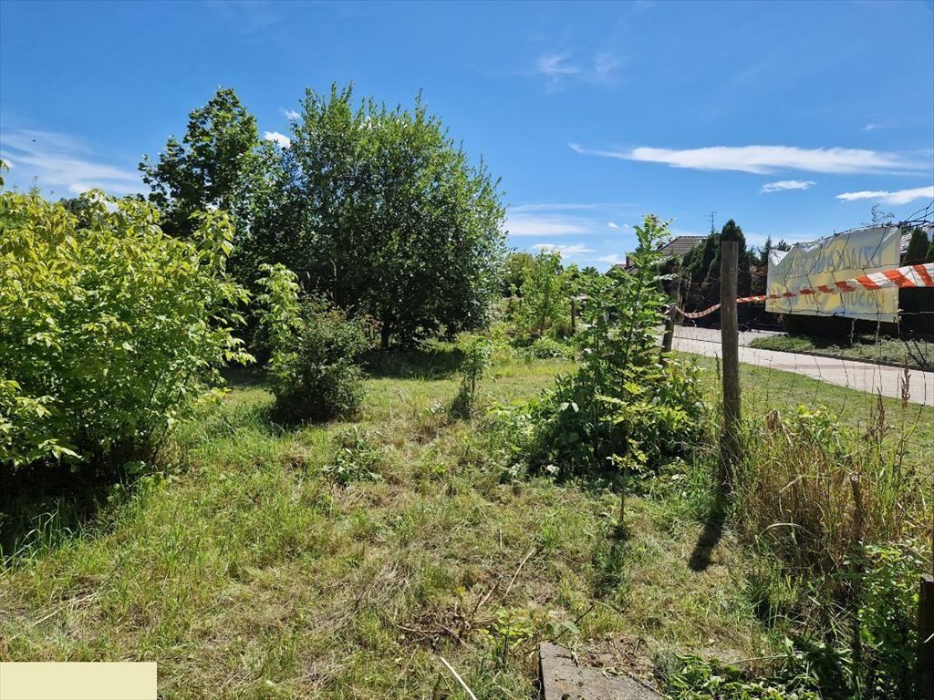 Działka budowlana na sprzedaż Kurów, Na Klifie  1 650m2 Foto 9