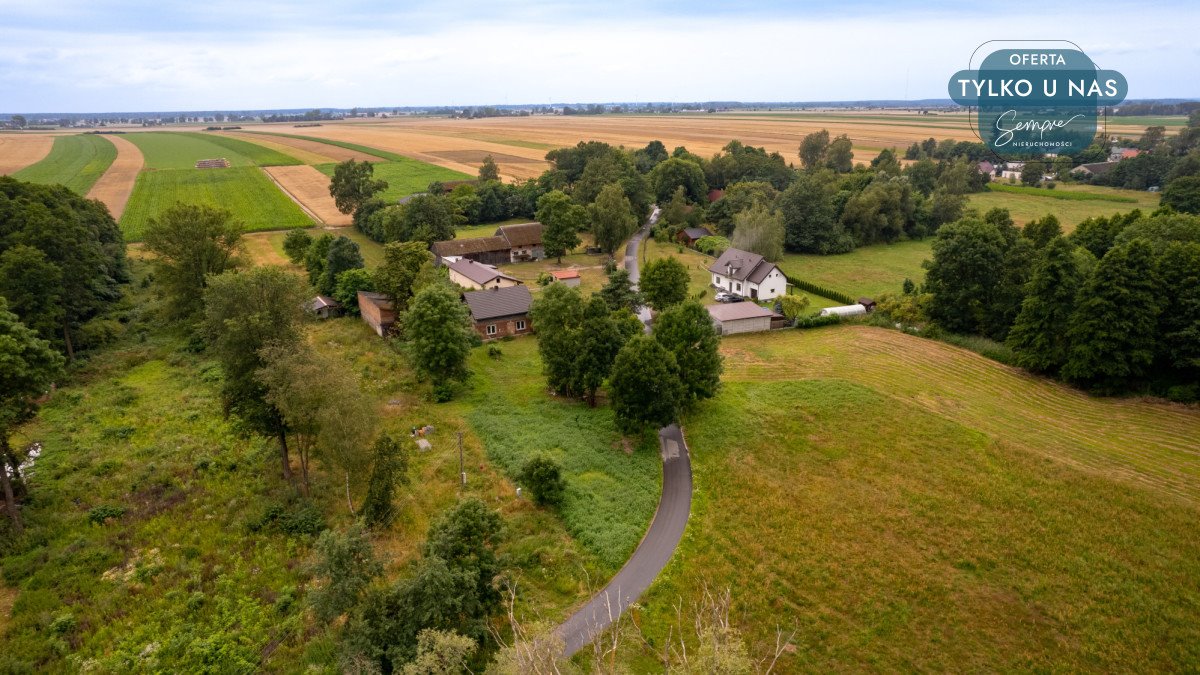 Działka budowlana na sprzedaż Magnusy  3 713m2 Foto 5