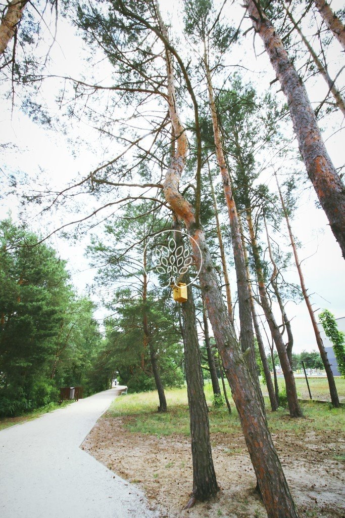 Kawalerka na sprzedaż Toruń, Jana Heweliusza  26m2 Foto 14