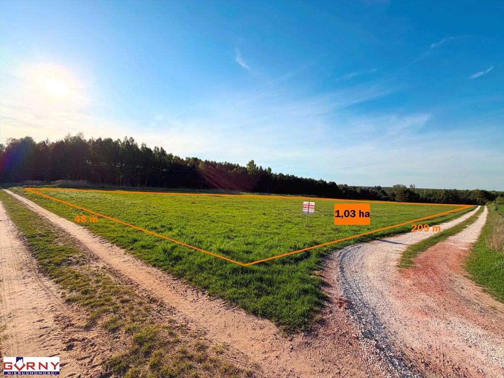Działka 1,03 ha pod zabudowę i rekreację, blisko natury Dębowa Góra-Kolonia  10 300m2 Foto 1