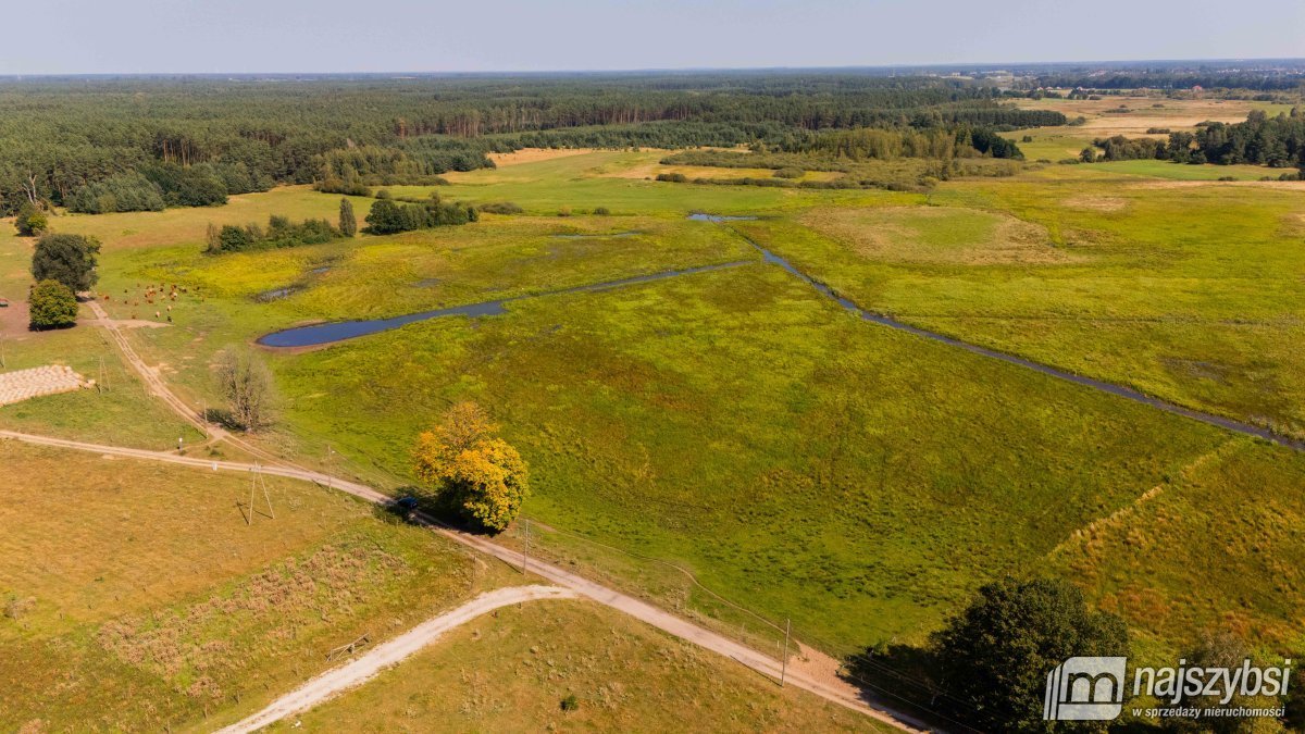 Dom na sprzedaż Miodowice  180 400m2 Foto 11