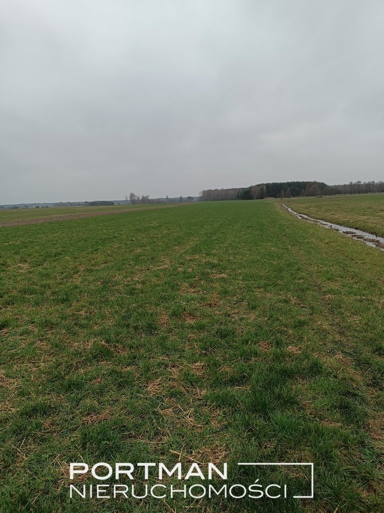 Działka rolna z możliwością zabudowy 17 800 m² zapraszam Lasomin  17 800m2 Foto 1