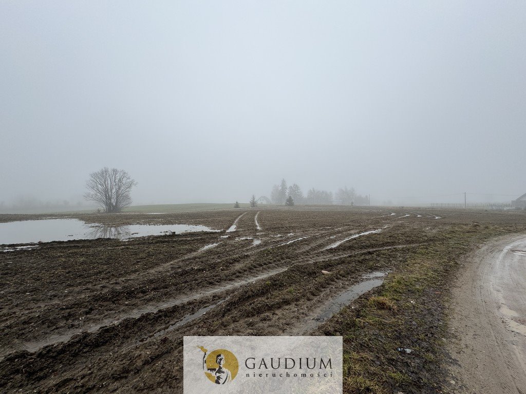 Działka budowlana na sprzedaż Jeleńska Huta, Jarzębinowa  1 115m2 Foto 5