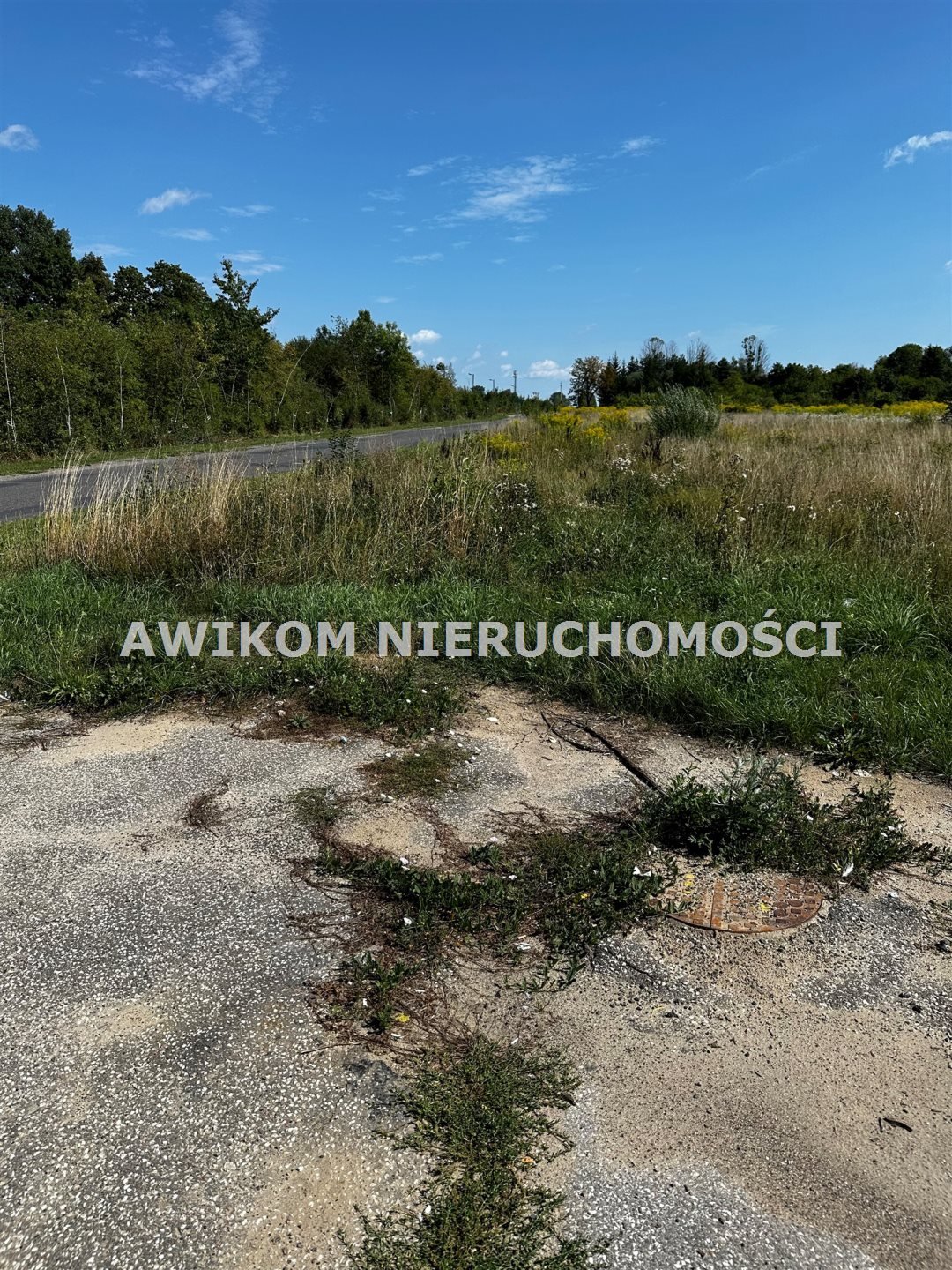 Działka komercyjna na sprzedaż Mszczonów  6 300m2 Foto 2