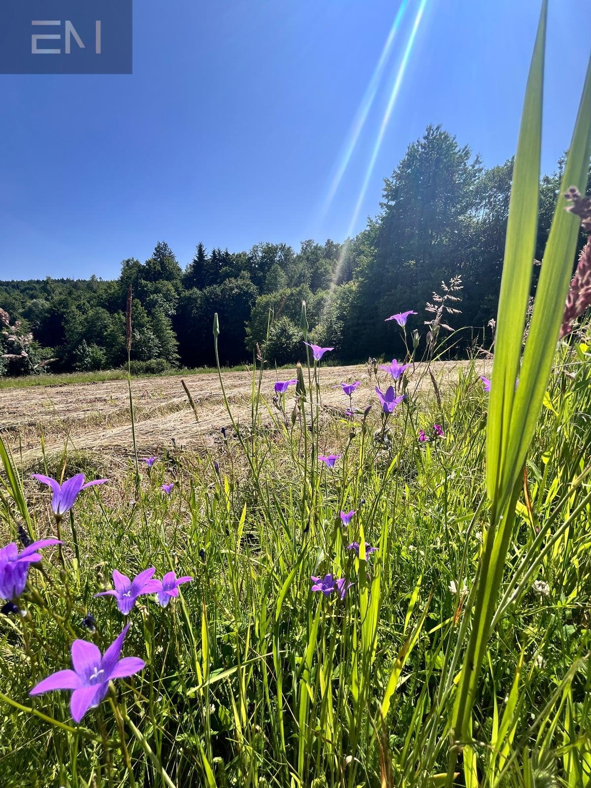 Spokojna działka 3000 m² z mediami i warunkami zabudowy zapraszam: Orzechówka