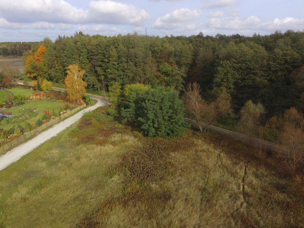 Działka budowlana na sprzedaż Domaszczyn, Stawowa  1 749m2 Foto 2