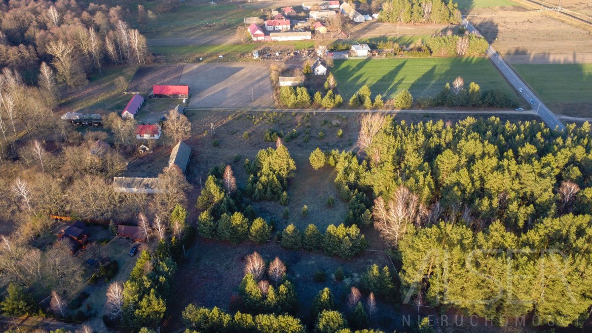 Działka budowlana na sprzedaż Prabuty  910m2 Foto 4