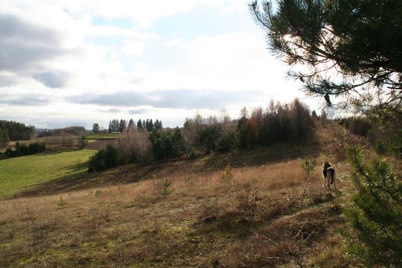 Działka inna na sprzedaż Borzestowo, bez nazwy  43 288m2 Foto 9