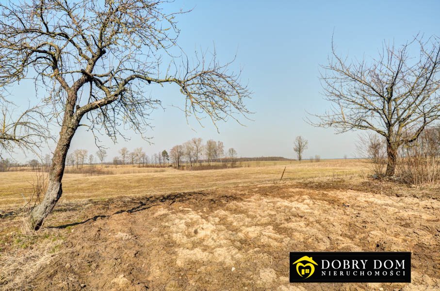 Działka rolna na sprzedaż Wiśniowo Ełckie  3 000m2 Foto 3