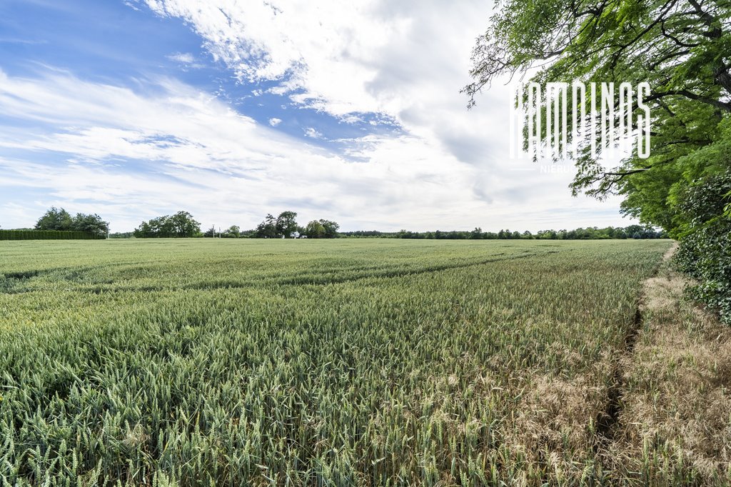 Działka rolna 3550 m2 z warunkami zabudowy w Prusach Prusy  3 550m2 Foto 1