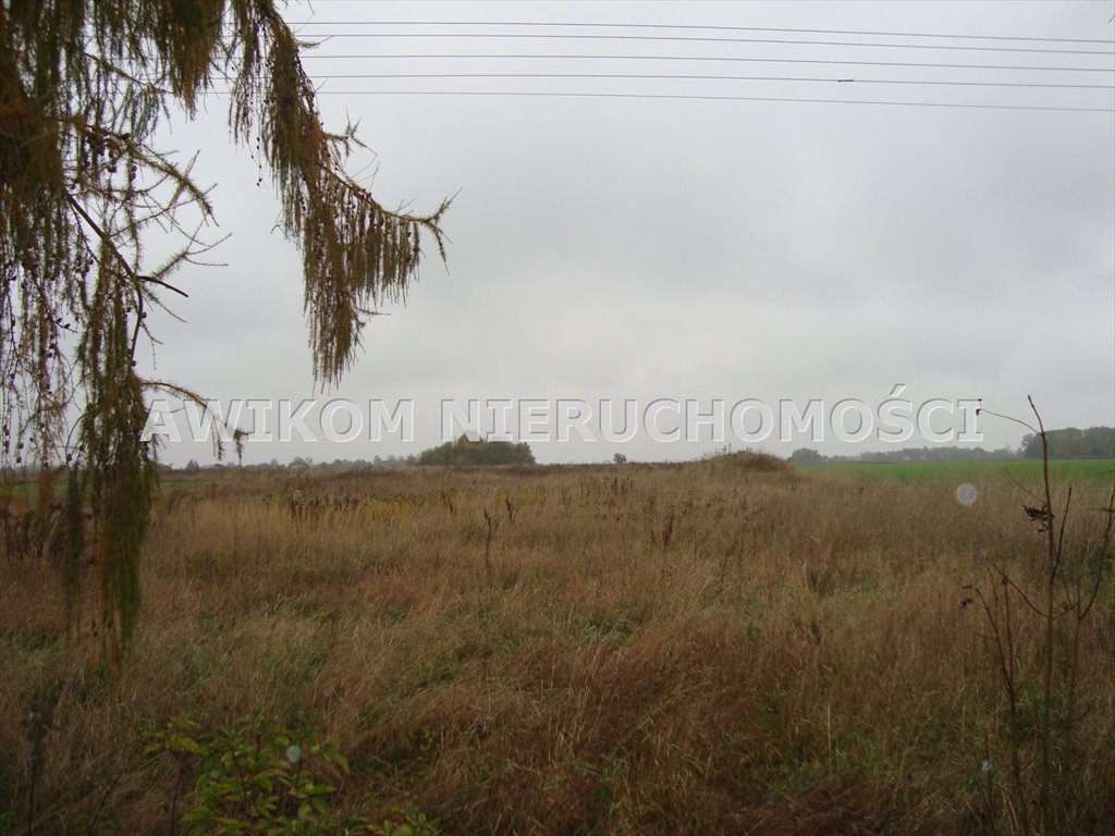 Działki w Wikcinku z warunkami zabudowy i dostępem do mediów Wikcinek  3 000m2 Foto 1