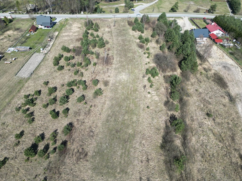 Działka budowlana na sprzedaż Krasnobród  7 862m2 Foto 2