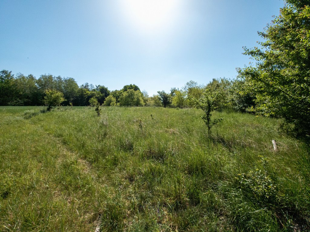 Działka 4628 m² z mediami, podziałem i dostępem do drogi Pyskowice, Dzierżno  4 628m2 Foto 1